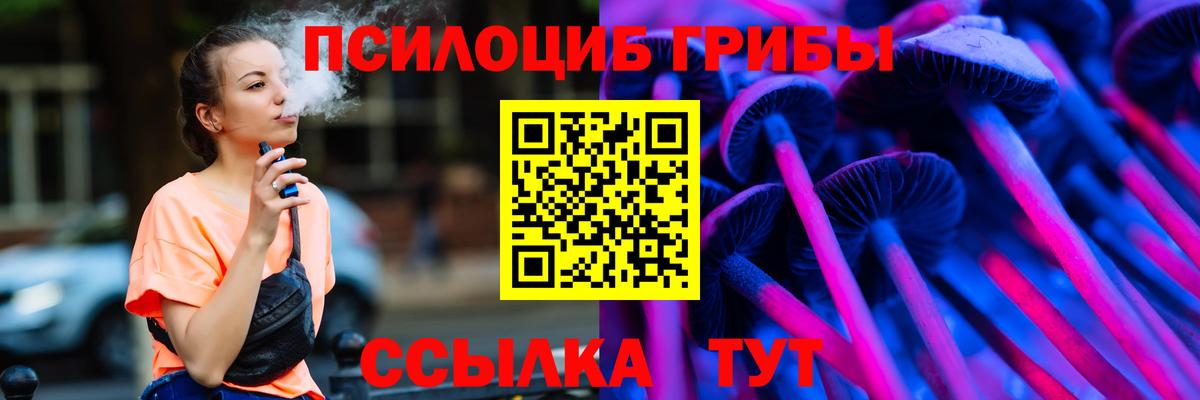 Псилоцибиновые грибы Cubensis Алушта