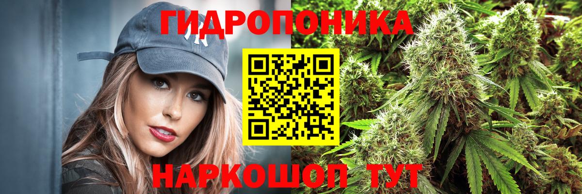 Бошки марихуана LSD WEED  Вход с VPN  Каннабис конопля  Алушта 